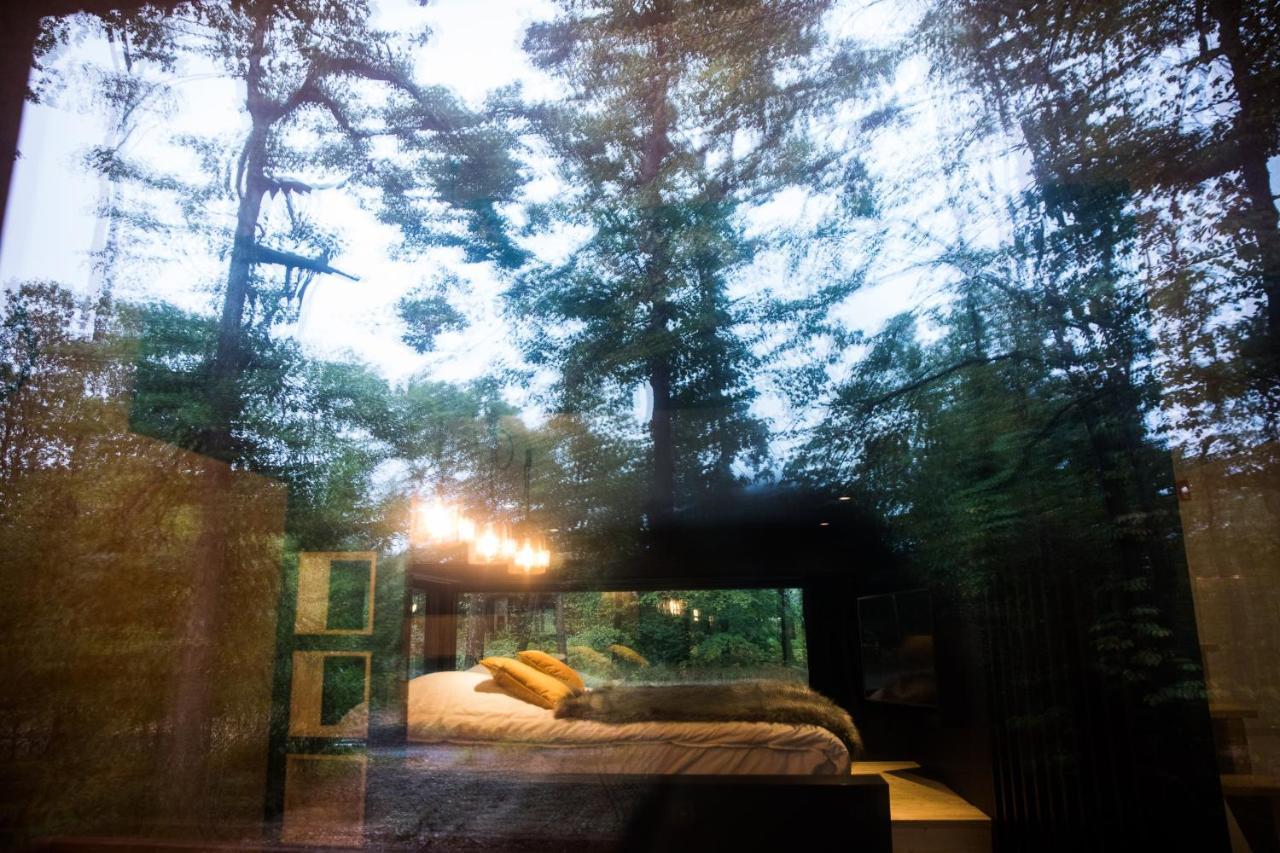 Vakantiehuis Forest Cube *